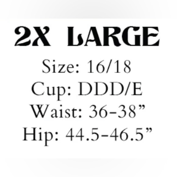 solstice intimates strawberry one piece swimsuit size 2XL - Picture 6 of 8